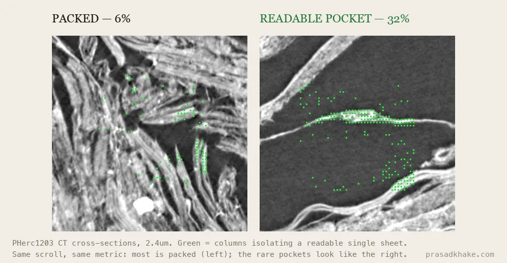 Two PHerc1203 CT cross-sections at 2.4 micron. Left, PACKED (6% readable-class): a dense chaotic mass of crushed, overlapping fibers with only sparse scattered green readable-column markers. Right, READABLE POCKET (32% readable-class): a clean bright papyrus sheet running diagonally through dark air gaps, with green readable-column markers densely tracing along it.