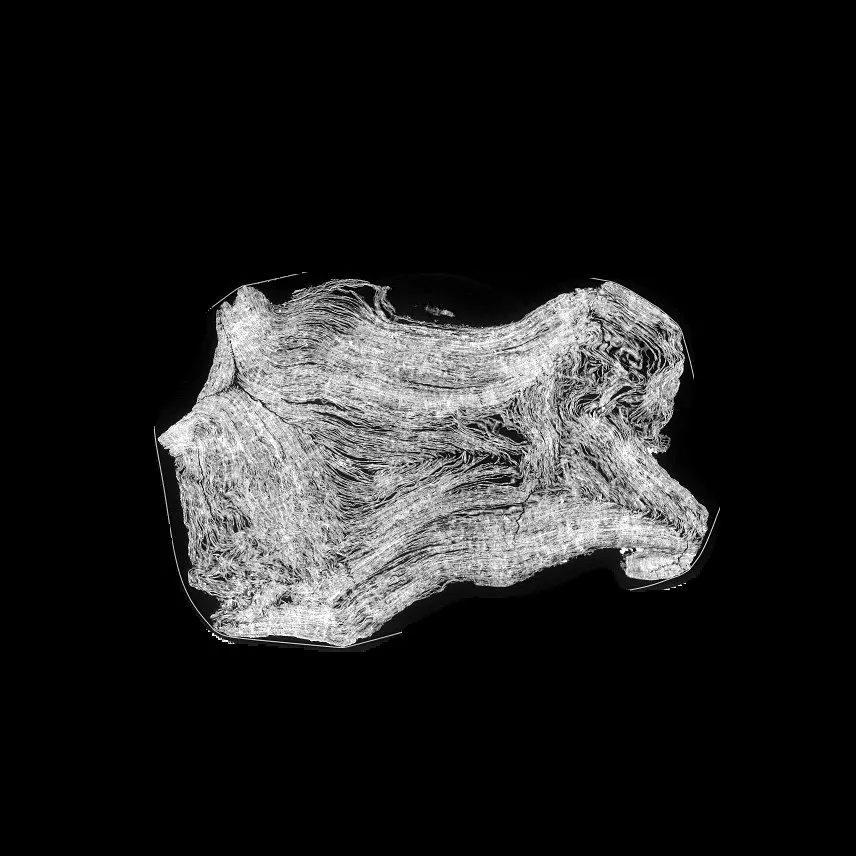 A grayscale CT cross-section of the coiled, carbonized PHerc1203 scroll. Concentric papyrus layers spiral like tree rings, some tightly packed, some torn and splayed at the edges, all in bright fibrous strands against a black background.